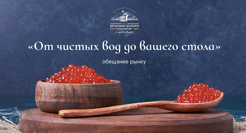 Маркетинговая стратегия ГК Красное золото